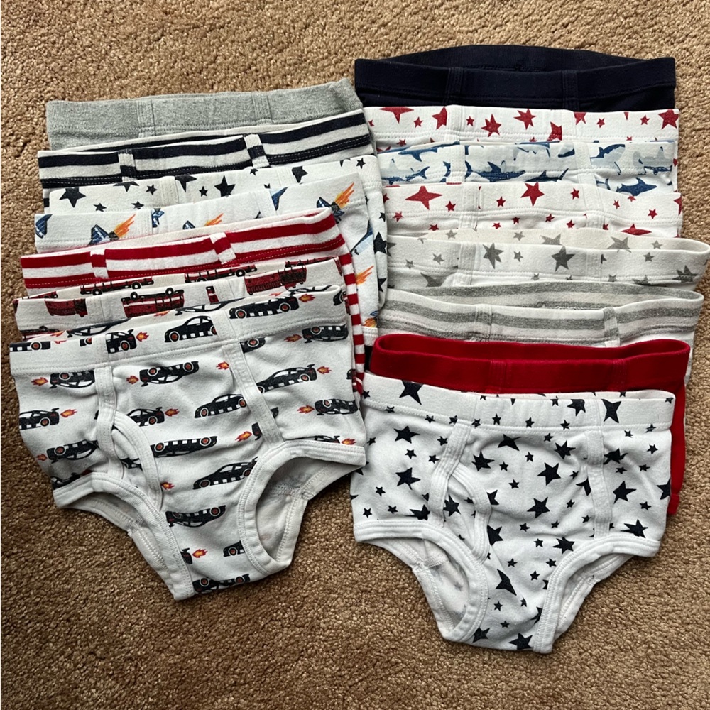 Hanna Andersson 100% organic cotton Boys’ underwear